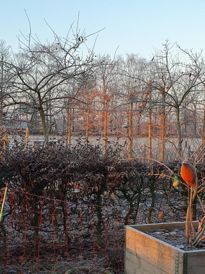 Recreatiewoning De Nieuwenhof Villa Melderslo Buitenkant foto