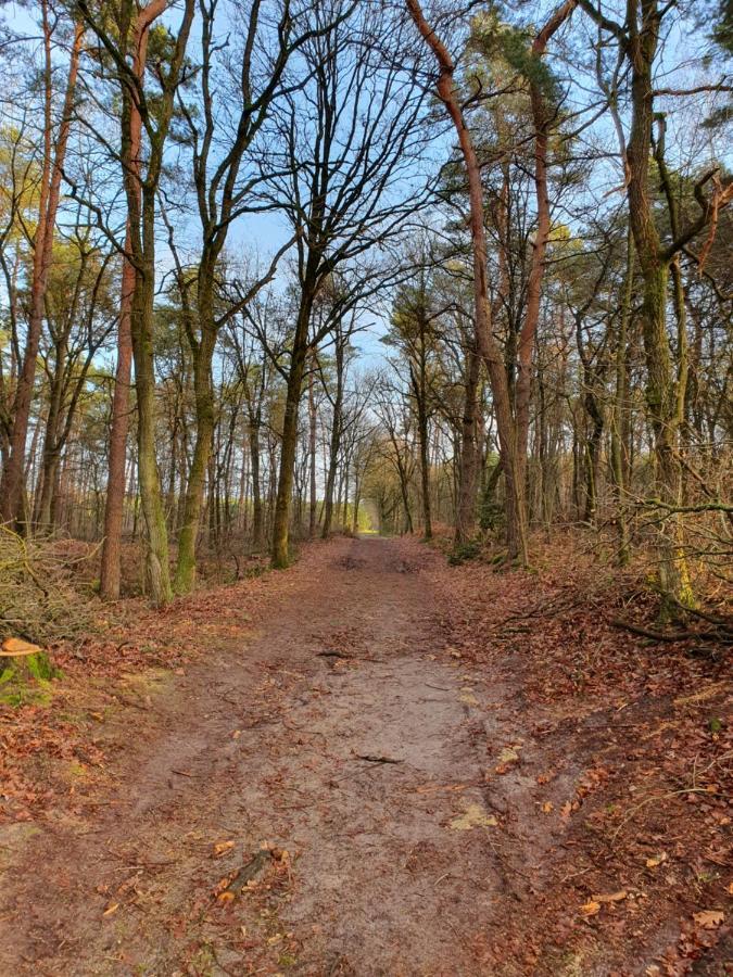 Recreatiewoning De Nieuwenhof Villa Melderslo Buitenkant foto