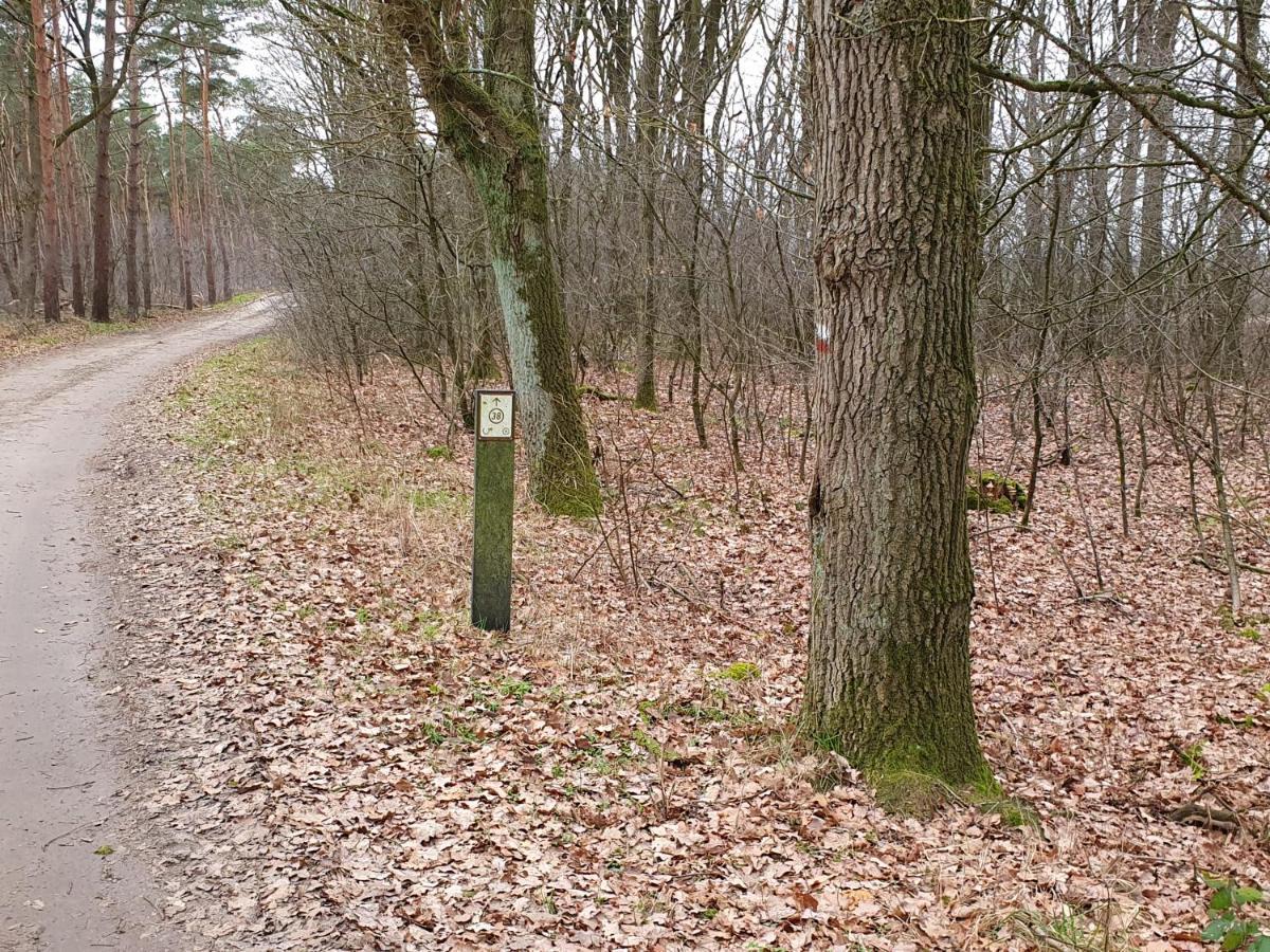 Recreatiewoning De Nieuwenhof Villa Melderslo Buitenkant foto