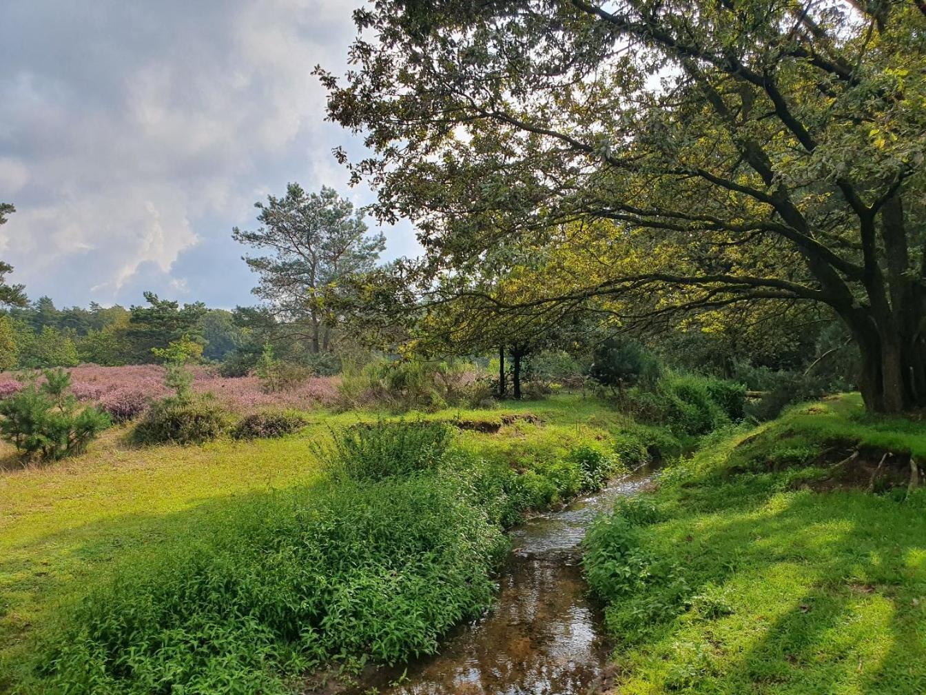 Recreatiewoning De Nieuwenhof Villa Melderslo Buitenkant foto