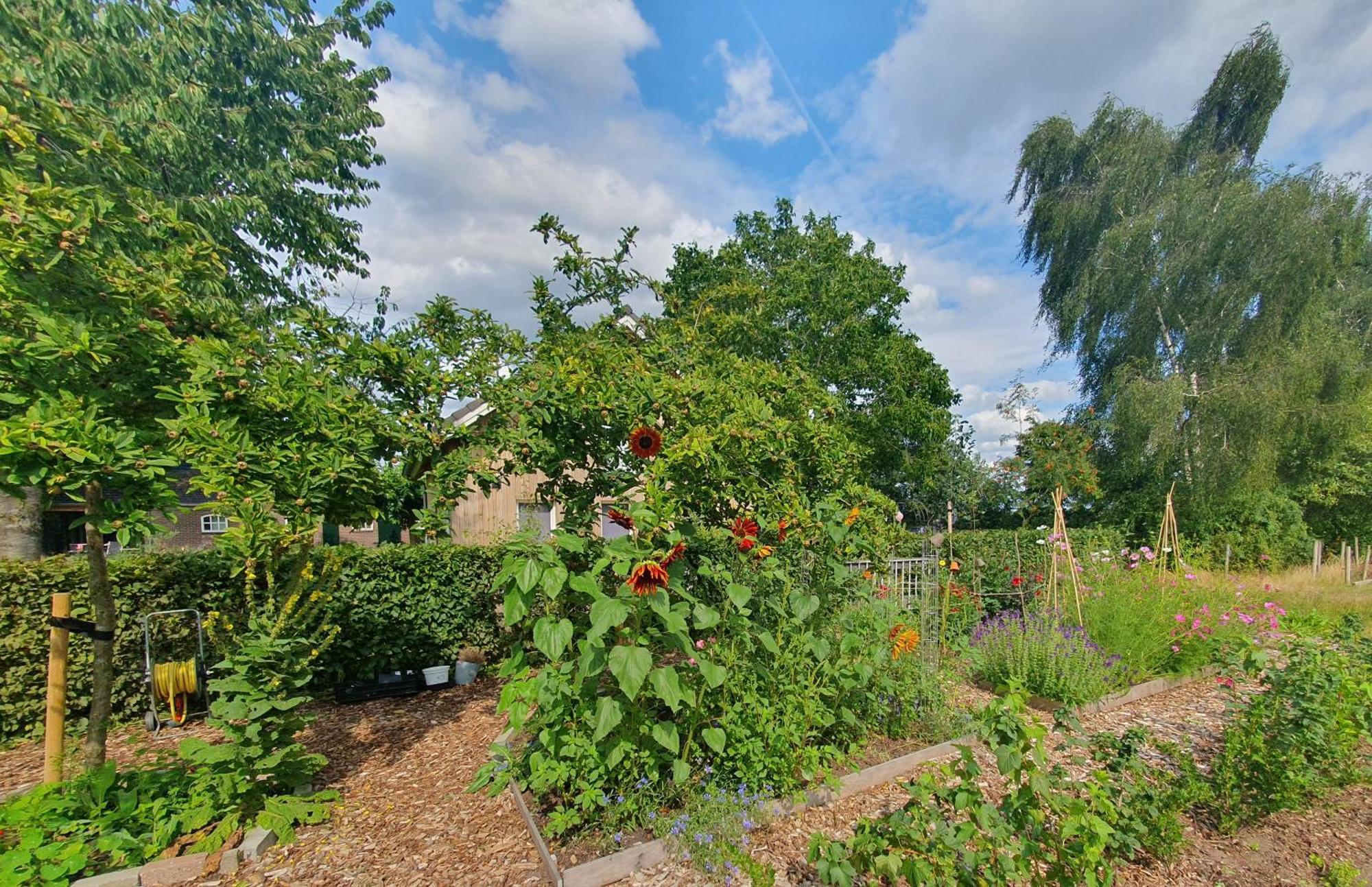 Recreatiewoning De Nieuwenhof Villa Melderslo Buitenkant foto